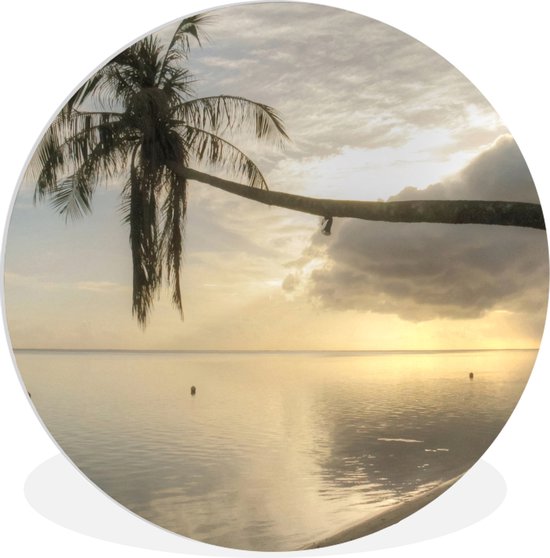 Palmier en surplomb sur la plage de Mo'orea Assiette en plastique cercle mural ⌀ 150 cm - impression photo sur cercle mural / cercle vivant (décoration murale)