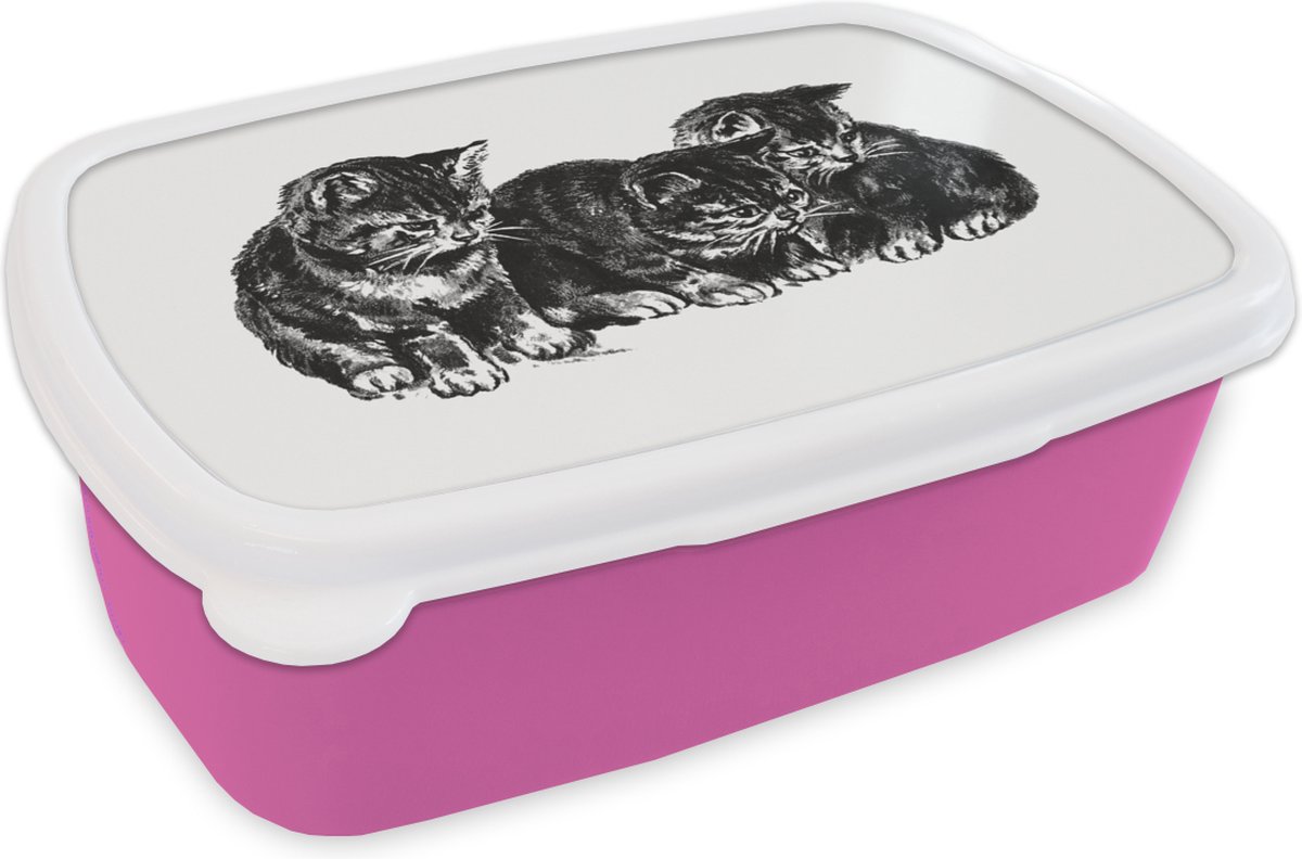 Broodtrommel Roze - Lunchbox - Brooddoos - Retro - Kat - Dieren - 18x12x6 cm - Kinderen - Meisje