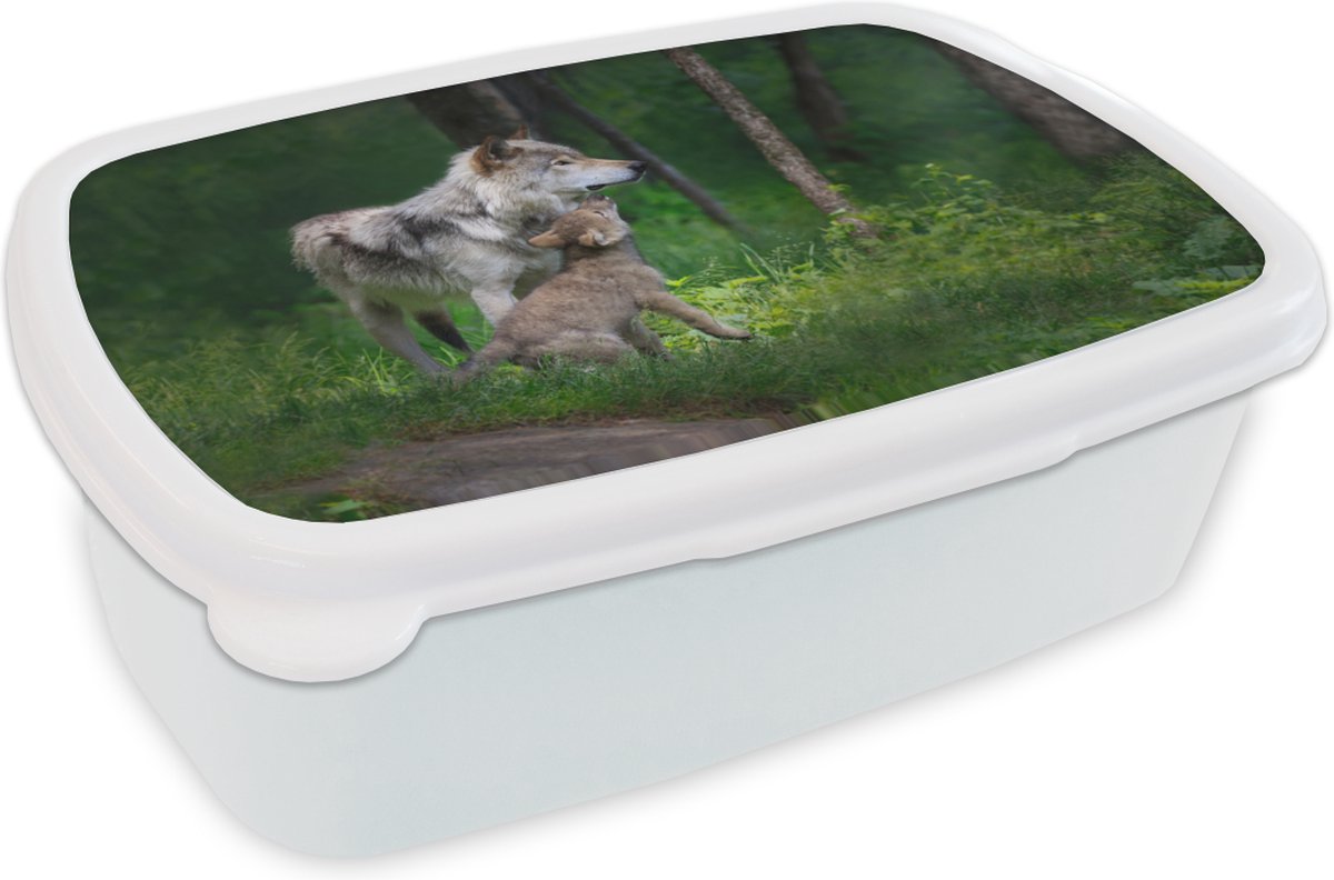 Broodtrommel Wit - Lunchbox - Brooddoos - Wolf - Baby - Bos - 18x12x6 cm - Volwassenen