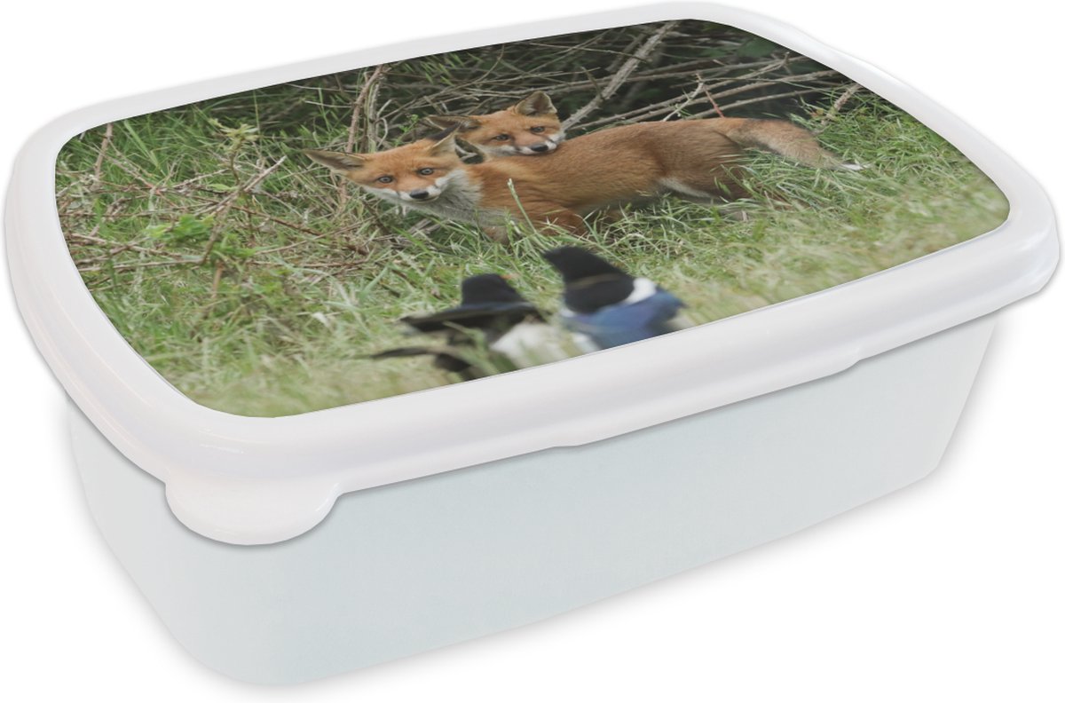 Broodtrommel Wit - Lunchbox - Brooddoos - Dieren - Vogel - Vossen - 18x12x6 cm - Volwassenen