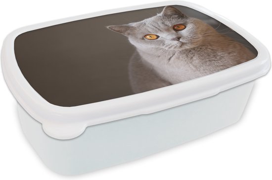 Lunch box Wit - Lunch box - Boîte à pain - Chat - Animaux - Yeux - 18x12x6  cm - Adultes | bol