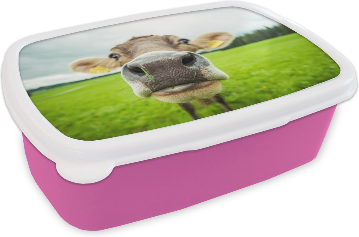 Broodtrommel Roze - Lunchbox - Brooddoos - Koe - Dieren - Gras - Macro - 18x12x6 cm - Kinderen - Meisje