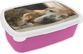 Broodtrommel Roze - Lunchbox Kat - Hond - Dieren - Brooddoos 18x12x6 cm - Brood lunch box - Broodtrommels voor kinderen en volwassenen