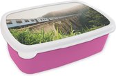 Broodtrommel Roze - Lunchbox - Brooddoos - Een trein over een brug - 18x12x6 cm - Kinderen - Meisje