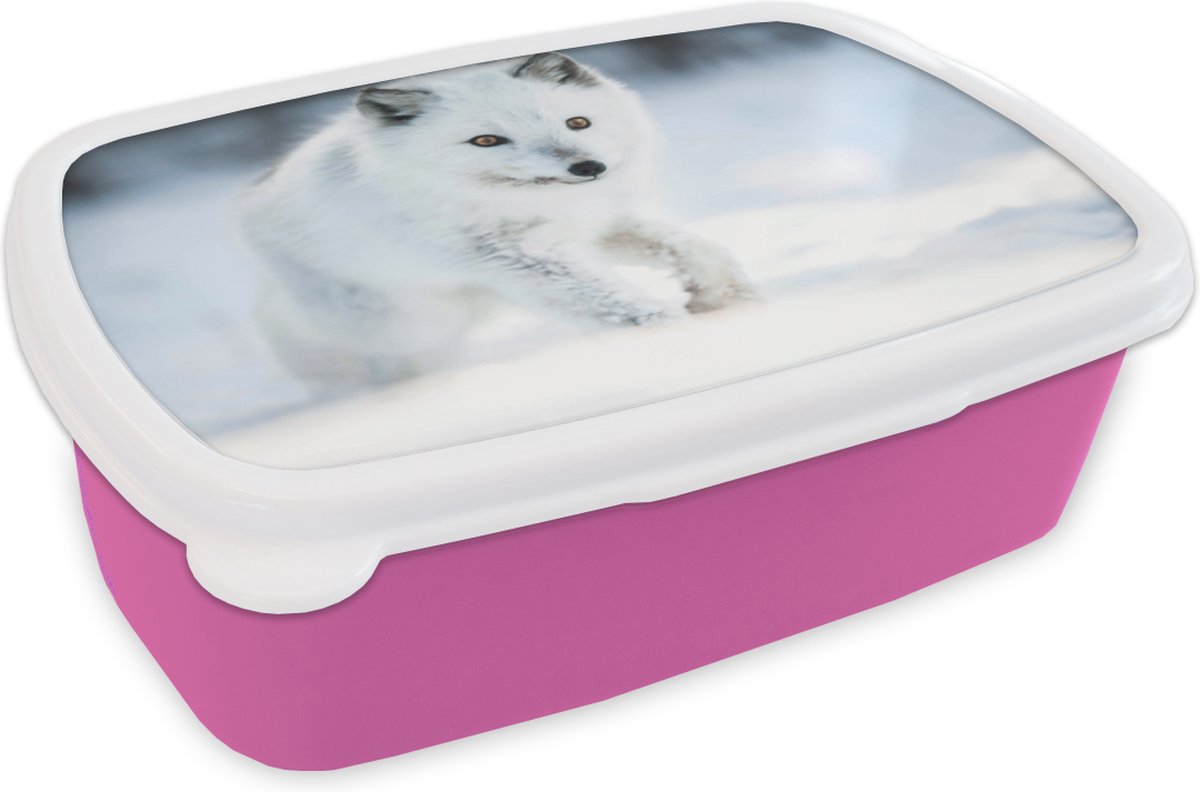 Broodtrommel Roze - Lunchbox - Brooddoos - Vos - Wit - Sneeuw - 18x12x6 cm - Kinderen - Meisje