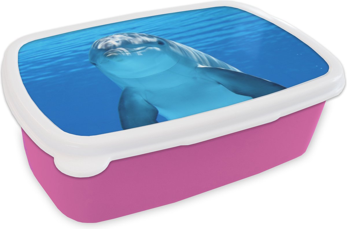 Broodtrommel Roze - Lunchbox - Brooddoos - Dolfijn - Water - Blauw - 18x12x6 cm - Kinderen - Meisje