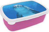 Broodtrommel Roze - Lunchbox - Brooddoos - Dolfijn - Water - Blauw - 18x12x6 cm - Kinderen - Meisje