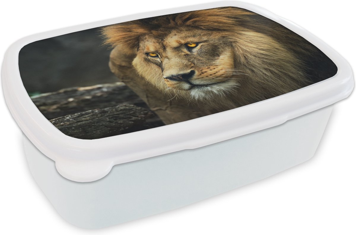 Broodtrommel Wit - Lunchbox - Brooddoos - Leeuw - Portret - Wild - 18x12x6 cm - Volwassenen
