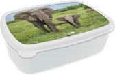 Broodtrommel Wit - Lunchbox - Brooddoos - Olifant - Natuur - Park - 18x12x6 cm - Volwassenen