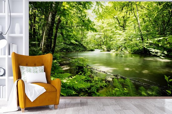 Papier peint - Papier peint photo Forêt - Arbre - Water - Largeur 360 cm x hauteur 240 cm