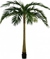 Palm XL Deluxe 270 cm
