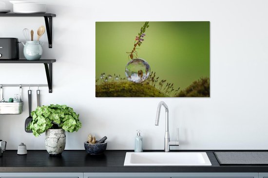 Tableau sur toile Fourmi assise sur une goutte d'eau - 60x40 cm - Décoration murale