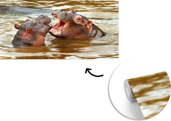 Papier peint - Papier peint Papier peint photo Hippopotame - Animaux - Water - Largeur 395 cm x hauteur 220 cm