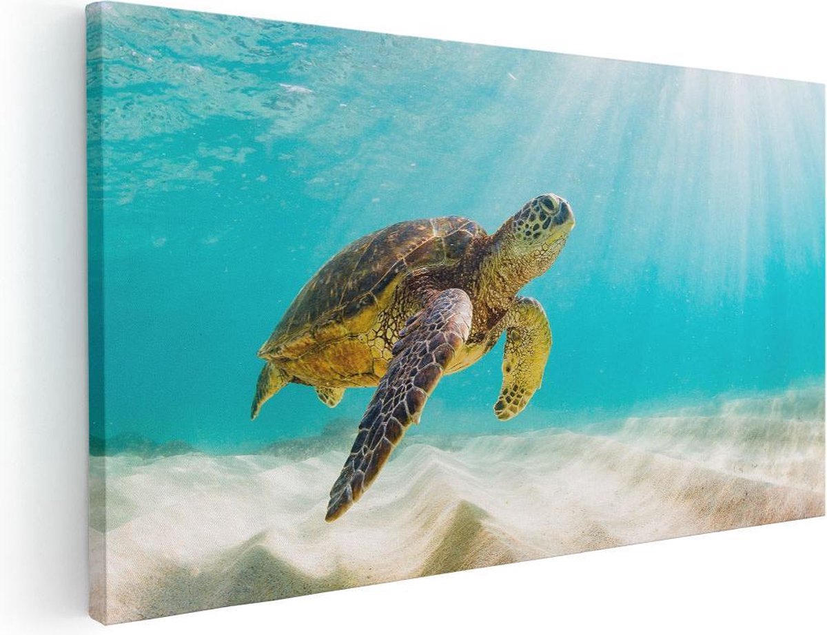 Artaza Canvas Schilderij Zeeschildpad - 40x20 cm - Klein - Wanddecoratie Zee - Muurdecorat