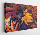 Canvas schilderij - Colorful leaves in Autumn season  -     448280245 - 80*60 Horizontal