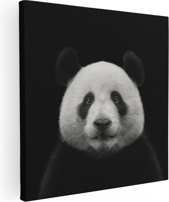 Artaza Canvas Schilderij Panda - Pandakop  - 70x70 - Foto Op Canvas - Canvas Print