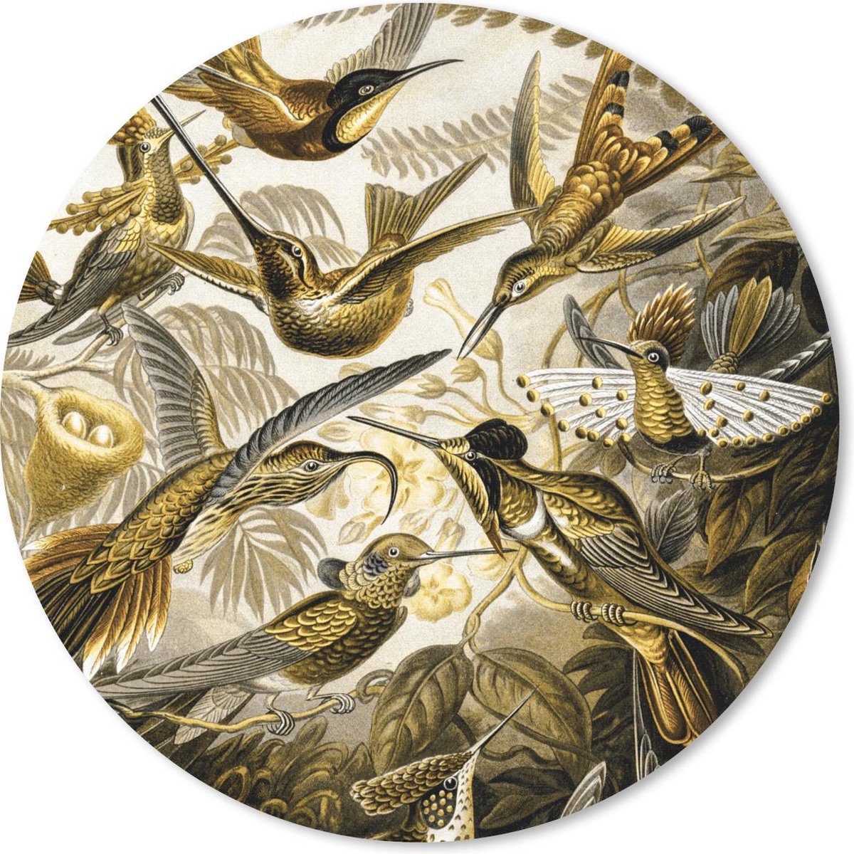 Muismat rond 30x30 cm - Mousepad Trochilidae - Ernst Haeckel - Goud - Ronde muismatten