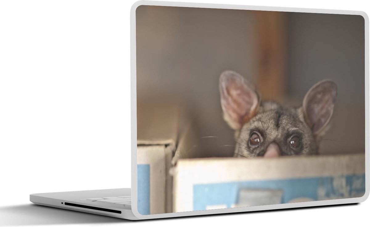 Afbeelding van product SleevesAndCases  Laptop sticker - 12.3 inch - Australië - Voskoeskoes - Doos