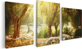 Artaza - Triptyque de peinture sur toile - Oliviers - Olivier - 120x60 - Photo sur toile - Impression sur toile