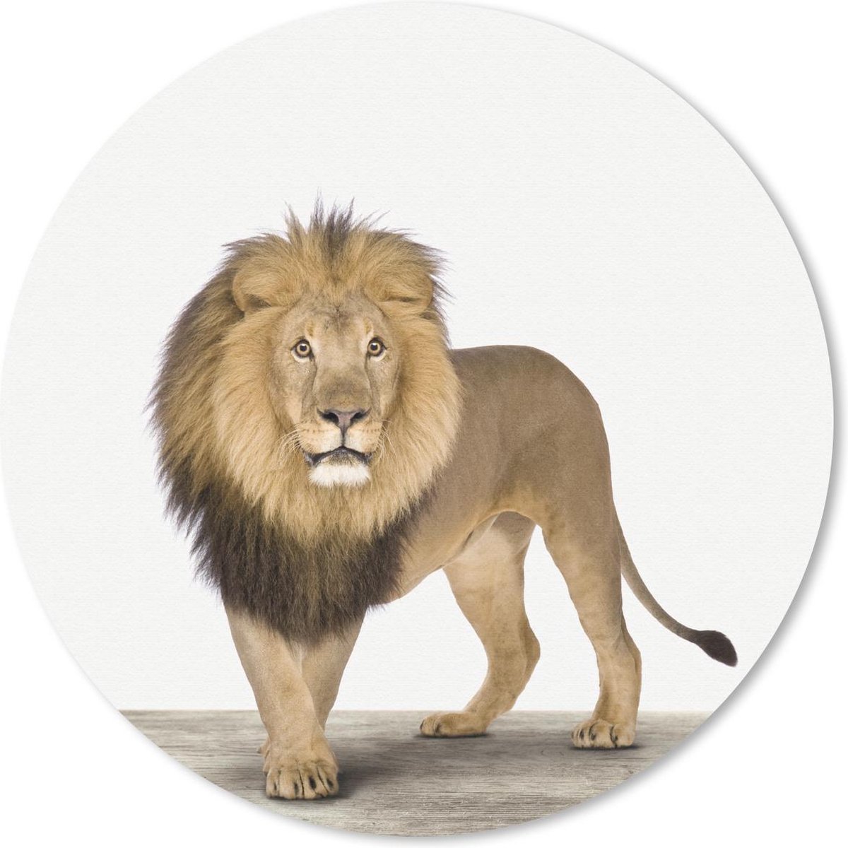 Muismat rond 20x20 cm - Mousepad Dieren - Leeuw - Wit - Ronde muismatten