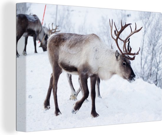 Canvas Schilderij Een kerstfoto van rendieren langs de wegen van het Finse Kilpisjarvi - 60x40 cm - Wanddecoratie