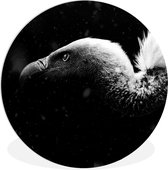 WallCircle - Wandcirkel ⌀ 150 - Close-up van een gier tegen een zwarte achtergrond - zwart wit - Ronde schilderijen woonkamer - Wandbord rond - Muurdecoratie cirkel - Kamer decoratie binnen - Wanddecoratie muurcirkel - Woonaccessoires