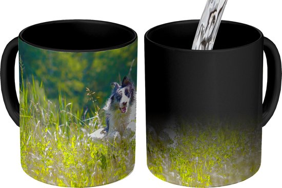 Tasse magique - Photo sur des tasses chaleureuses - Tasse à café - Un border collie sprintant dans l'herbe verte haute - Tasse Magic - Tasse - 350 ML - Tasse à thé - Décoration Sinterklaas - Cadeaux pour enfants - Cadeaux de chaussures Sinterklaas