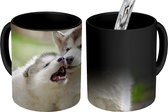 Magische Mok - Foto op Warmte Mok - Puppy's samen aan het spelen - 350 ML