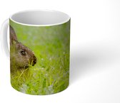 Mok - Konijn - Baby - Gras - 350 ML - Beker