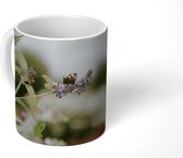 Mok - Dagpauwoog vlinder op lavendel - 350 ML - Beker