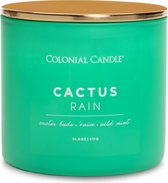 Colonial Candle – Pop Of Color Cactus Rain - 411 gram