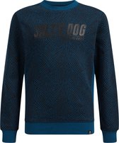 WE Fashion Jongens sweater met dessin