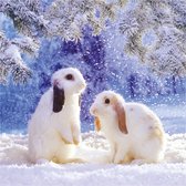 Kaart - Kerst - Tracks - Witte konijntjes - XJ146A