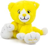 Cat yellow give me a smile  20 cm