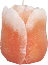 Oranje tulp figuurkaars met tulpen geur 100/90 (35 uur)