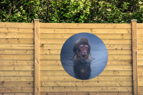 Garden Circle Snow Monkey Blue Water - 120x120 cm - Affiche de Jardin Ronde - Extérieur - XXL
