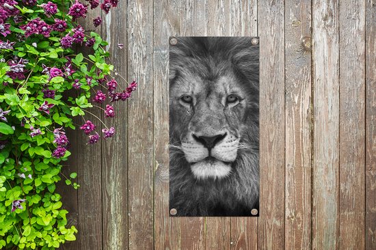 Tuinposter Dierenprofiel Perzische leeuw in zwart-wit - 30x60 cm