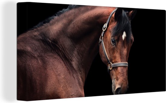Tableau sur toile Cheval - Halter - Marron - 160x80 cm - Décoration murale
