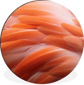 WallCircle - Wandcirkel - Muurcirkel - Veren structuur van een flamingo - Aluminium - Dibond - ⌀ 60 cm - Binnen en Buiten