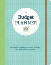 Deltas Paperstore: Budgetplanner