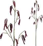 PTMD Twig Plant Botanical Catkins Kunsttak - 48 x 20 x 98 cm - Bruin