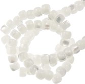 Schelp Kralen (4 x 3 mm) Beige (130 Stuks)