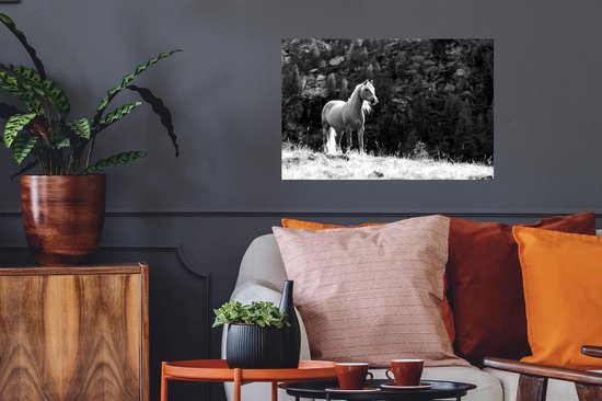 Stickers muraux - Film autocollant - Cheval Haflinger dans les montagnes - noir et blanc - 60x40 cm - Film adhésif - Stickers muraux Chambre d'enfant - Papier peint autocollant - Papier peint autocollant - Film autocollant