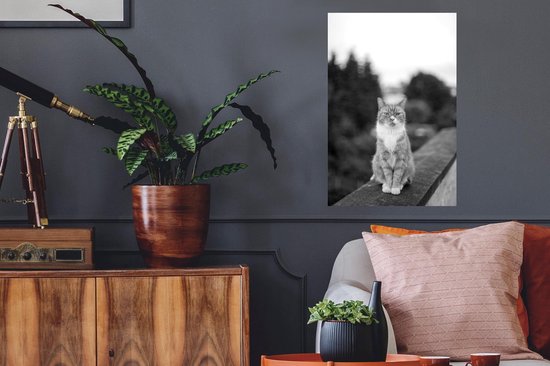 Stickers muraux - Film autocollant - Chat - Balcon - Forêt - Filles - Enfants - Garçons - Kids - 40x60 cm - Film adhésif - Stickers muraux Chambre d'enfant - Papier peint autocollant