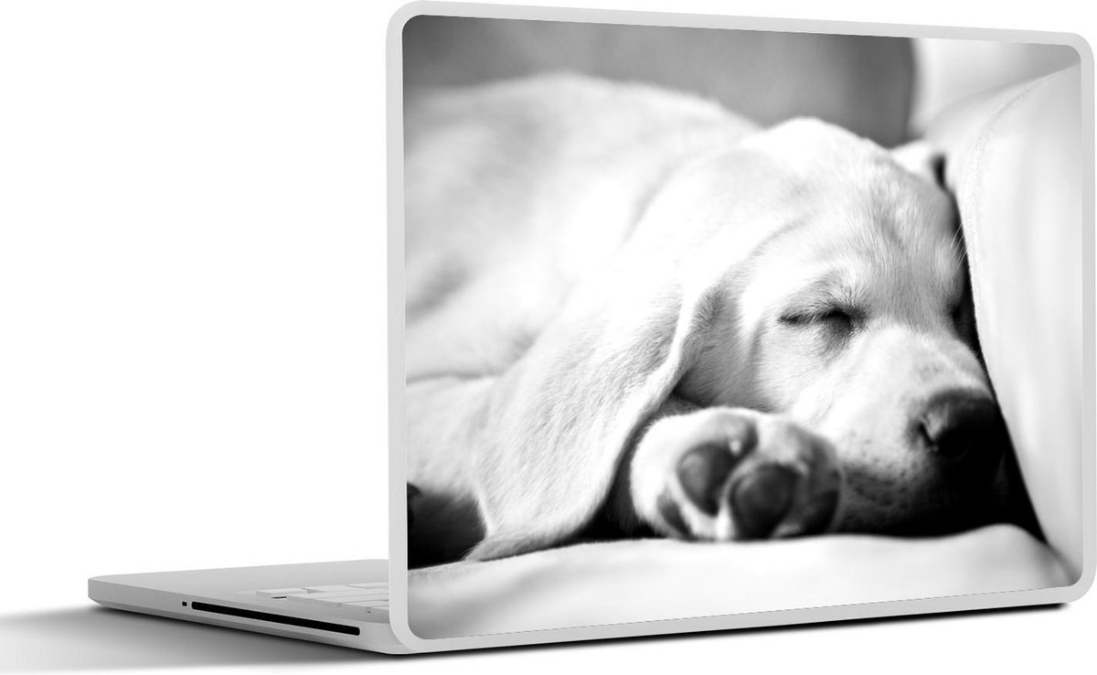 Afbeelding van product SleevesAndCases  Laptop sticker - 12.3 inch - Slapende labrador puppy - zwart wit