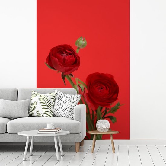 Papier peint photo vinyle - Renoncules rouges sur fond rouge largeur 200 cm x hauteur 300 cm - Tirage photo sur papier peint (disponible en 7 tailles)