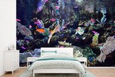 Behang - Fotobehang Kleurrijk aquarium - Breedte 330 cm x hoogte 220 cm