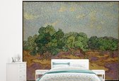 Behang - Fotobehang Olijfbomen - Vincent van Gogh - Breedte 325 cm x hoogte 260 cm