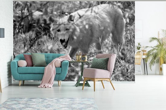 Papier peint - Papier peint photo peint Loup Witte dans l'herbe en noir et blanc - Largeur 360 cm x hauteur 240 cm
