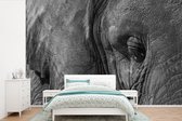 Behang - Fotobehang Zwart-wit close-up van een olifant - Breedte 390 cm x hoogte 260 cm
